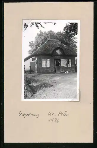 Fotografie unbekannter Fotograf, Ansicht Vogelsang Krs. Plön, Bauernhaus mit Aufschrift Horst