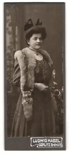 Fotografie Ludwig Habel, Görlitz, junge Frau im Kleid mit Fuchspelz um die Schultern