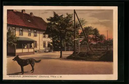 AK Sonnenberg /Oberharz, Pension und Logierhaus, Inh. Albert Wendeborn