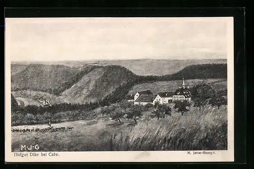 AK Calw, Hofgut Dike mit Umgebung