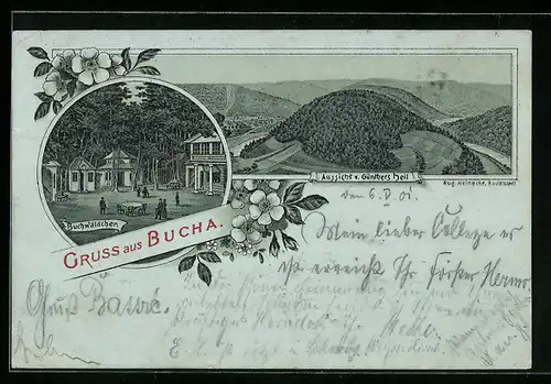 Lithographie Bucha, Gaststätte Buchwäldchen mit Garten, Aussicht von Günthers Heil