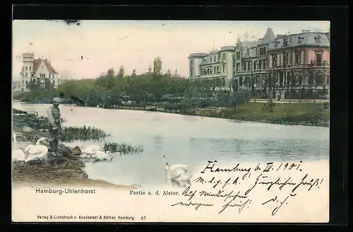 AK Hamburg-Uhlenhorst, Partie a.d. Alster, Schwäne