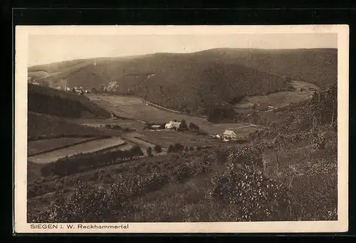 AK Siegen i. W., Reckhammertal, Talblick vom Berg