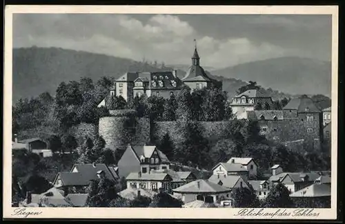 AK Siegen, Blick auf das Schloss