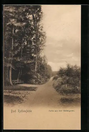 AK Bad Rothenfelde, Partie aus dem Wellengarten