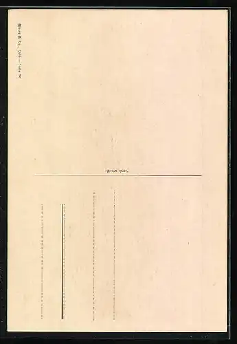 AK Vestfold, Norwegerin in Tracht