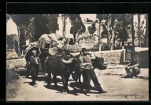 AK Constantinople, Chariot Turc, Türken mit einem Ochsengespann
