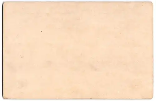 Fotografie H. Hoffmann, Regensburg, Ansicht Donaustauf, Blick nach der Befreiungshalle