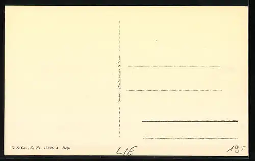 AK Schaan, Blick in die Hauptstrasse