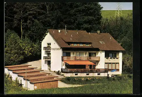 AK Regen-Wieshof, Hotel-Restaurant Pichelsteinerhof, Talstrasse 35