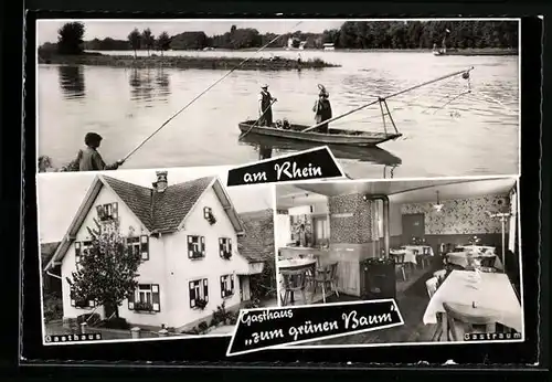 AK Auenheim am Rhein, Gasthaus zum grünen Baum