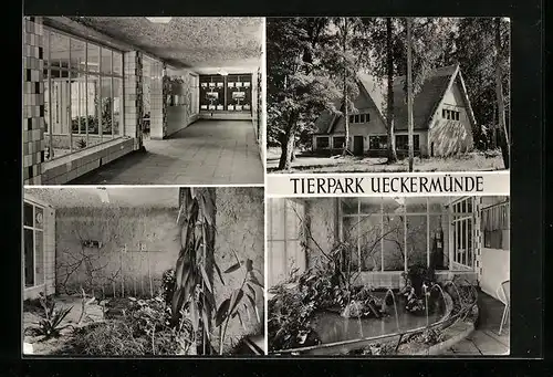 AK Ueckermünde, Tierpark Ueckermünde, Vivarium