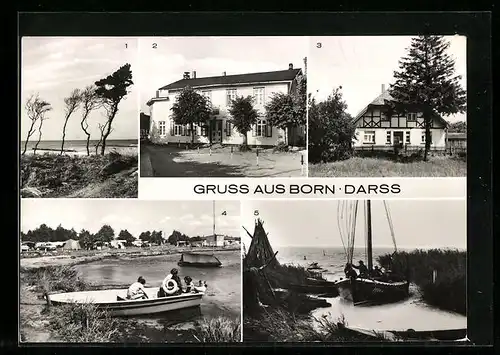 AK Born / Darss, Weststrand, FDGB-Gaststätte Borner Hof, Fischwerkhaus, Zeltplatz und Bodden