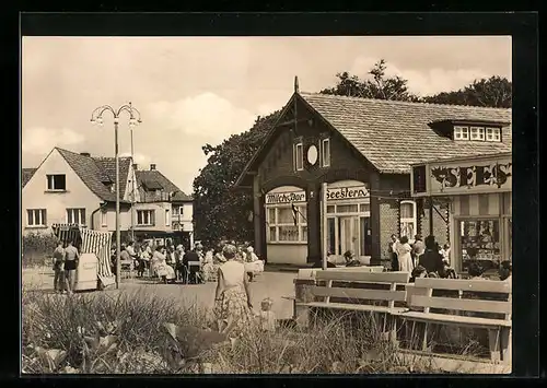 AK Graal-Müritz / Ostsee, Milch-Bar Seestern