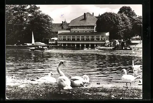 AK Caputh, Gaststätte und Café Fährhaus