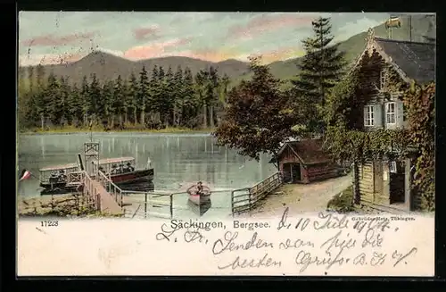 AK Säckingen, Bergsee