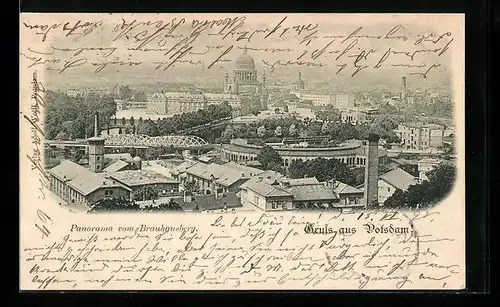 AK Potsdam, Panorama vom Brauhausberg gesehen