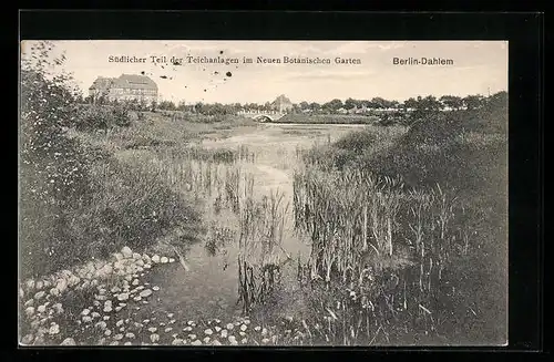 AK Berlin-Dahlem, Botanischer Garten, Südlicher Teil der Teichanlagen