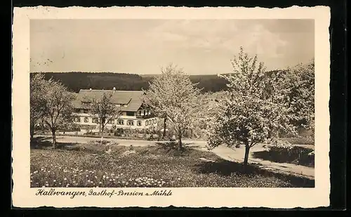 AK Hallwangen, Gasthof-Pension zur Mühle