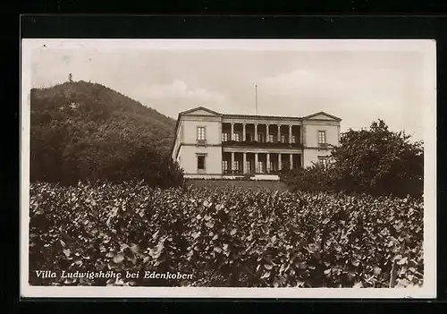 AK Edenkoben, Villa Ludwigshöhe