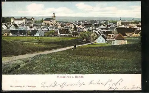 AK Messkirch / Baden, Panorama
