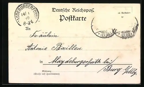 AK Schönebeck / Elbe, Uferpartie