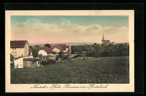 AK Neustadt i. Holst., Panorama vom Heisterbusch gesehen
