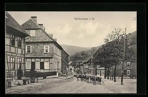 AK Wildemann i. H., Strassenpartie