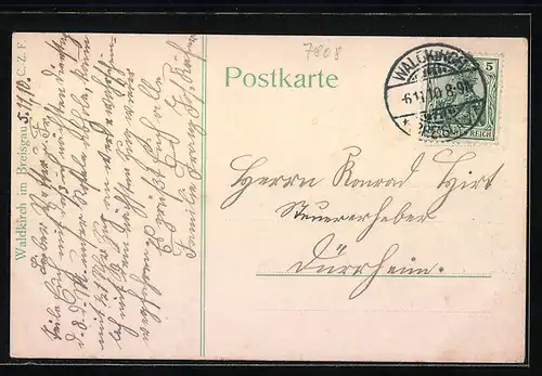 AK Waldkirch / Breisgau, Ortsansicht aus der Vogelschau