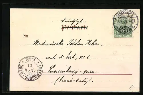 Lithographie Strassburg, Storchennest