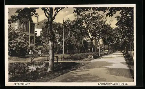AK Seesen /Harz, Lautenthalerstrasse mit Villen