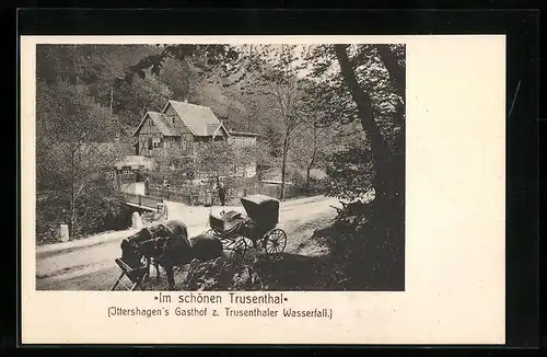 AK Trusen, Ittershagens Gasthof zum Trusenthaler Wasserfall, mit Kutsche und Strasse