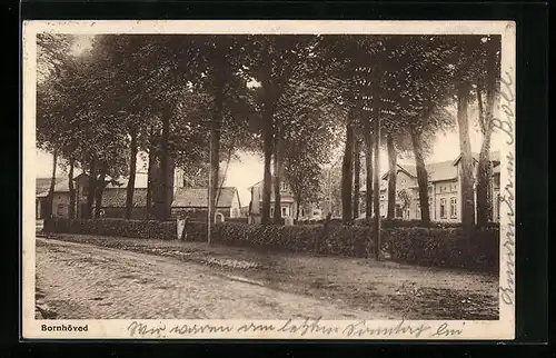 AK Bornhöved, Teilansicht unter Bäumen