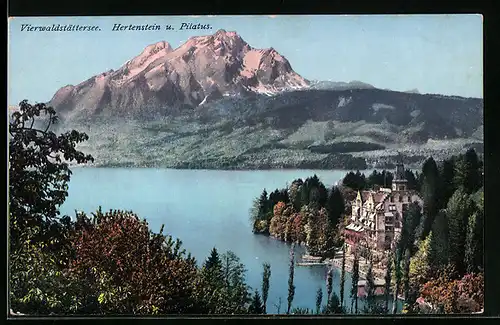 AK Hertenstein /Vierwaldstättersee, Hertenstein und Pilatus