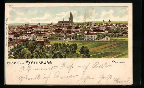 Lithographie Regensburg, Panorama mit Feldern aus der Vogelschau