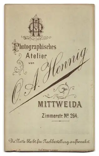 Fotografie O. A. Hennig, Mittweida, Zimmerstr. 264, Portrait hübsche Dame im prachtvollen Kleid