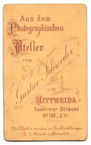 Fotografie Gustav Schroeder, Mittweida, Rochlitzer Str. 163, Portrait hübsches Fräulein mit Flechtdutt