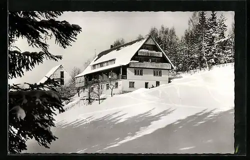 AK Holzschlag im Hochschwarzwald, die pension Waldfrieden im Schnee