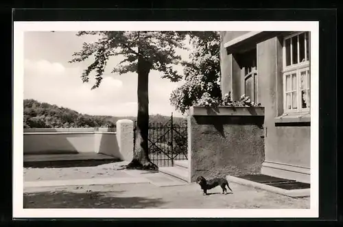 AK Bielefeld, auf der Terrasse des Otto-Riethmüller-Haus