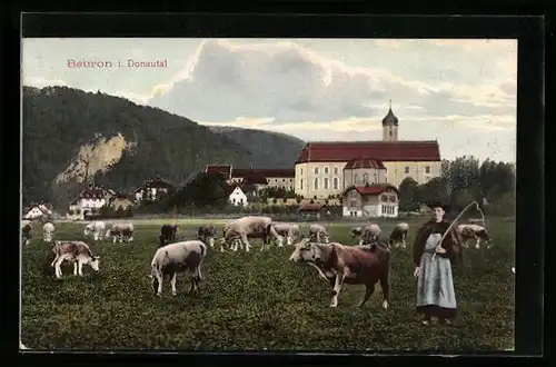 AK Beuron im Donautal, Kühe auf der Weide mit Blick zur Kirche
