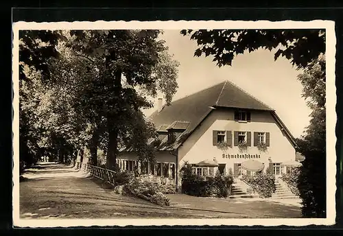 AK Insel Mainau, Partie am Gasthaus Schwedenschenke