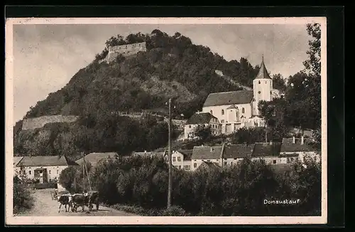 AK Donaustauf, Ochsenkarren vor der Kirche, Blick hinauf zur Burgruine