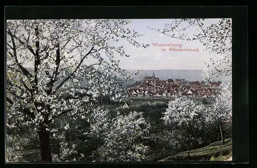 AK Weinsberg a. d. Weibertreu, Stadtpanorama mit blühenden Bäumen im Vordergrund