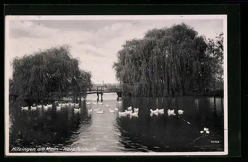 AK Kitzingen am Main, Brücke über den Karpfenteich