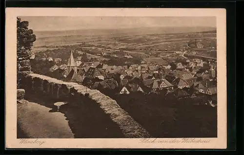 AK Weinsberg a. d. Weibertreu, Blick von der Burgruine auf die Stadt
