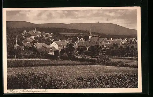 AK Iburg im Teutoburgerwald, Generalansicht mit Blick zur Kirche