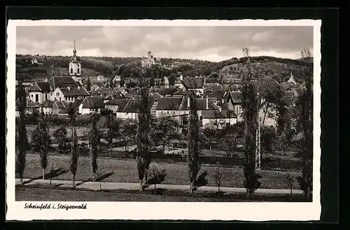 AK Scheinfeld im Steigerwald, Generalansicht mit Blick zur Kirche