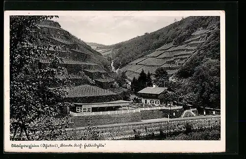 AK Walporzheim, Blick auf das Weinhaus Zur Bunten Kuh-Felsidylle