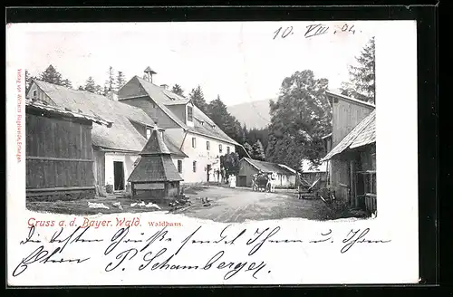 AK Bodenmais im Bayr. Wald, Partie am Waldhaus