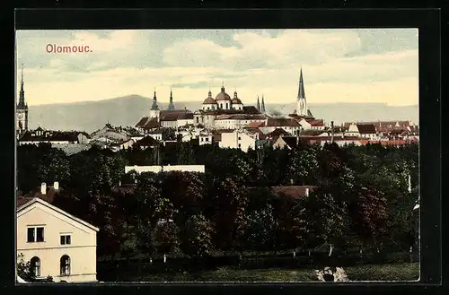 AK Olomouc, Celkovy Pohled